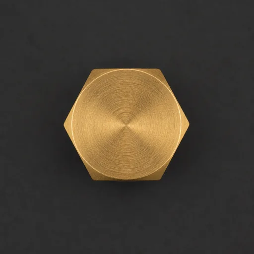 Brass Plug (Hex / Square) — view 3