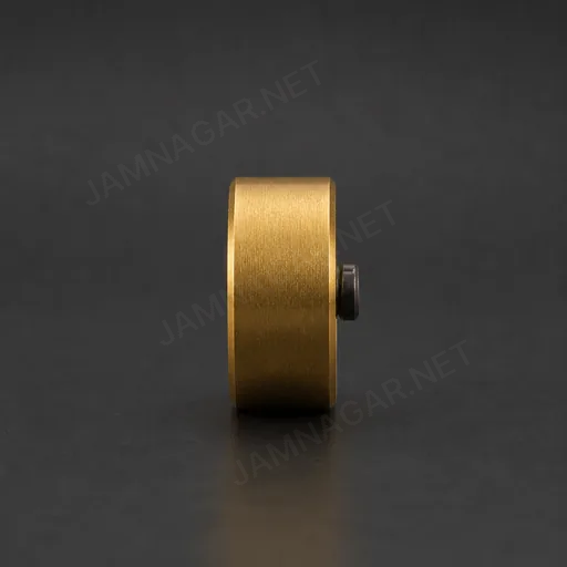 Brass Collar — view 2